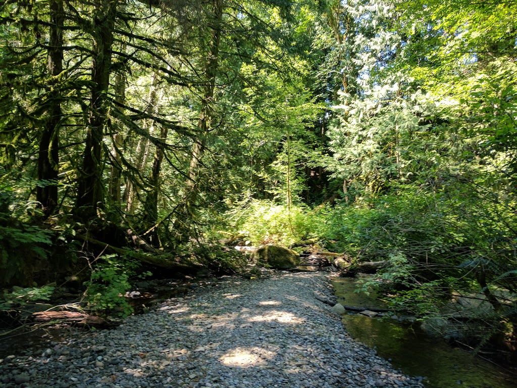 North Chuckanut Mountain Trailhead | 1467 Chuckanut Dr, Bellingham, WA 98229, USA | Phone: (360) 778-5850