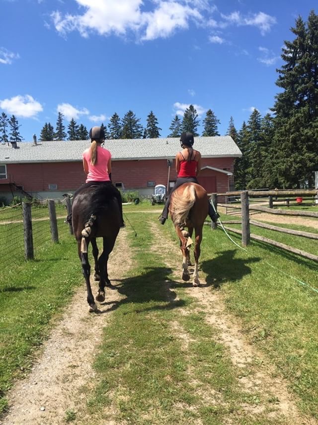 Nighswander Equestrian | 1675 St Johns Sideroad, Aurora, ON L4G 7C7, Canada | Phone: (905) 751-6771