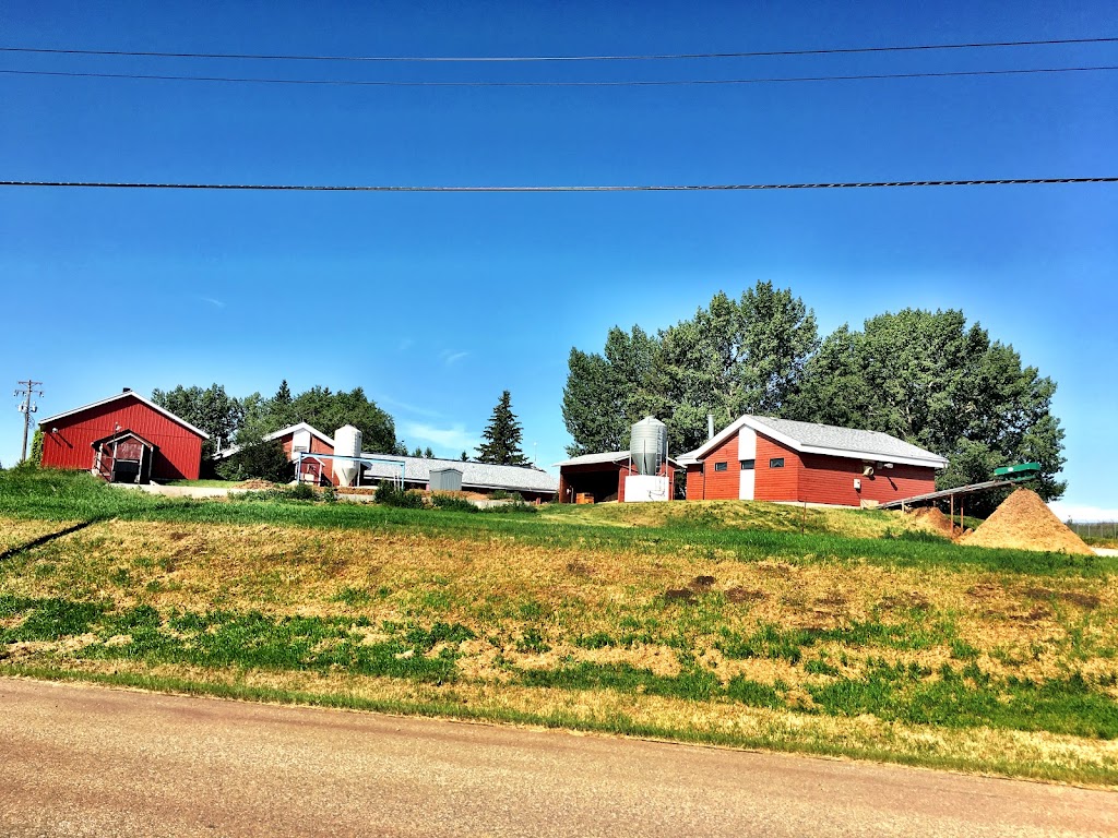 Alberta Swine Genetics Corporation | 1103 9 St, Nisku, AB T9E 8L7, Canada | Phone: (780) 986-1250