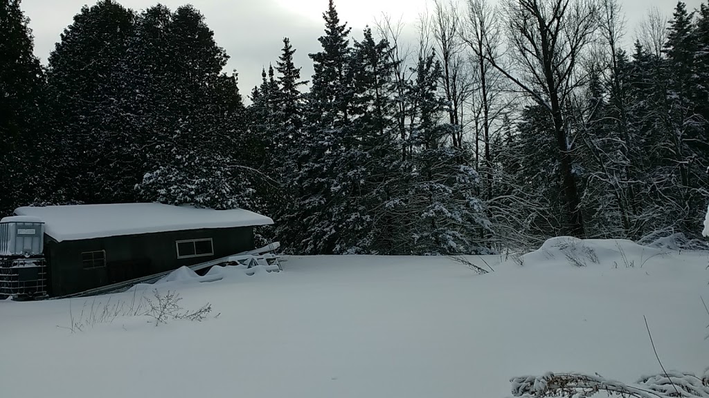 Random Acres Permaculture Farm | Random Acres Rd, Milton, ON N0B 2K0, Canada | Phone: (647) 828-5653