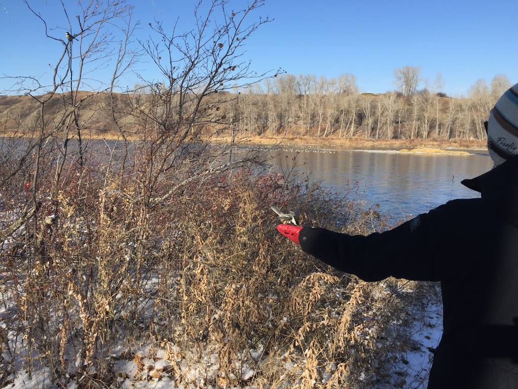 Wyndham carseland campground | Vulcan County, AB T0L 1P0, Canada | Phone: (403) 934-3523