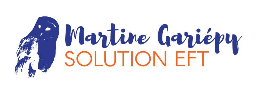 Solution Eft | 60 Rue Hayes, Bromont, QC J2L 0L8, Canada | Phone: (438) 401-9264