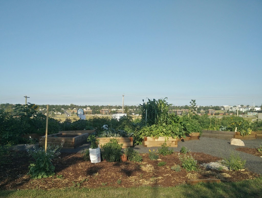 Renfrew Community Garden | 1324 Phair Ave NE, Calgary, AB T2E 5E9, Canada