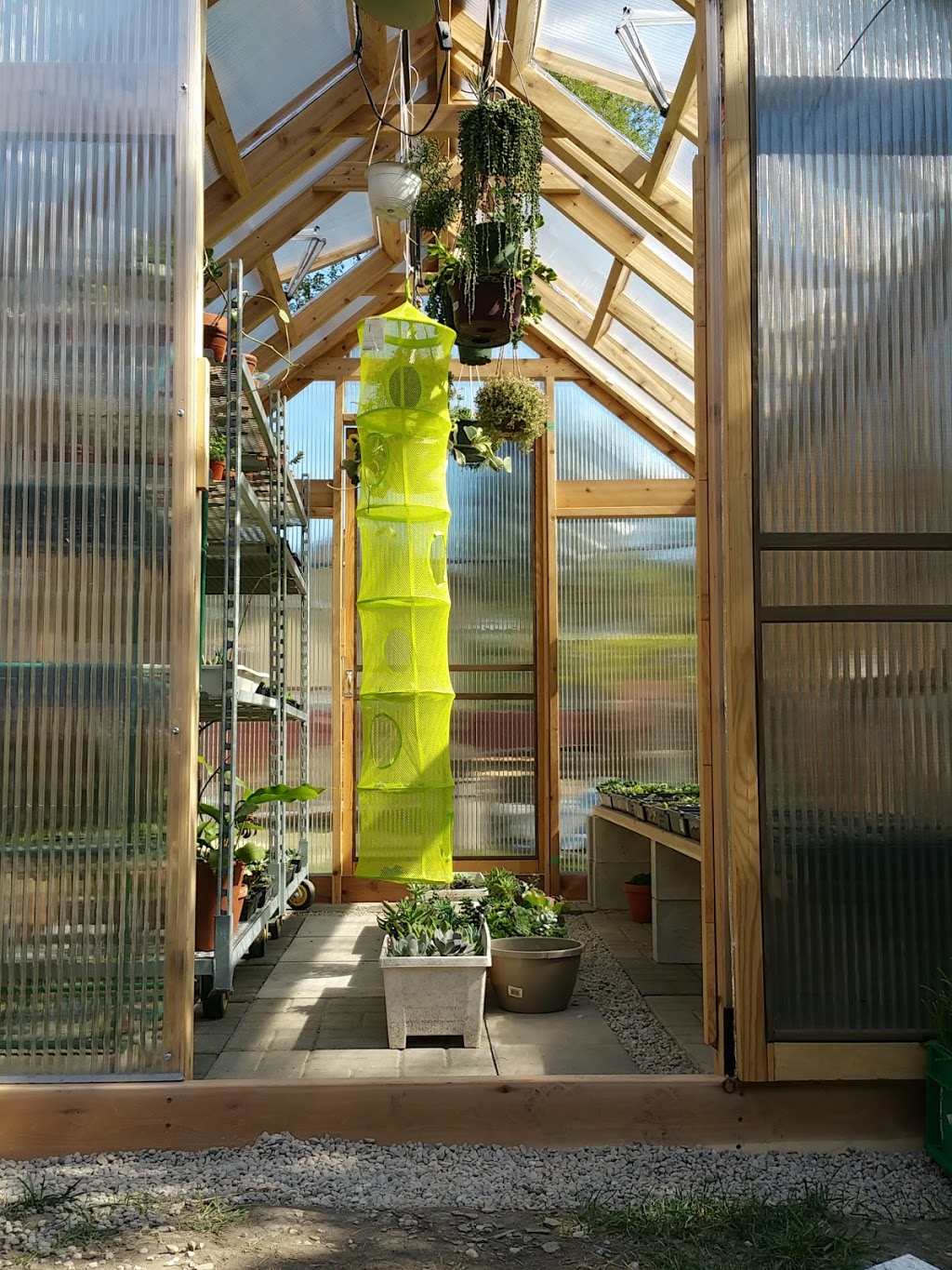 Grow Something | 165 King Edward Ave, East York, ON M4C 5J8, Canada | Phone: (416) 898-7646