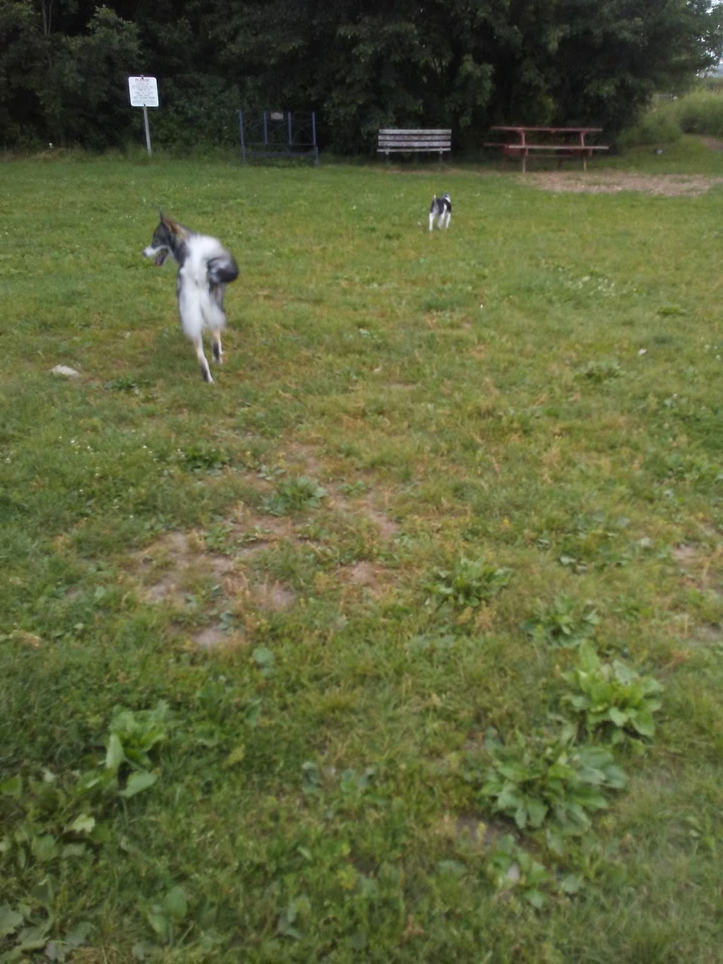 Stratford Dog Park | 159 Packham Rd, Stratford, ON N5A 6S4, Canada