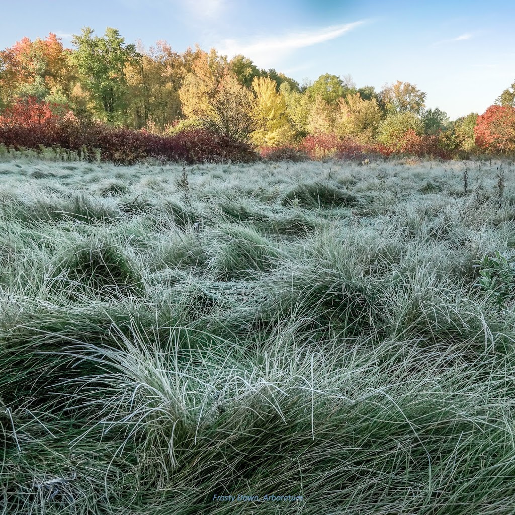 luxBorealis - photographs by Terry A. McDonald | 79 Vanier Dr, Guelph, ON N1G 2K9, Canada | Phone: (519) 265-4151