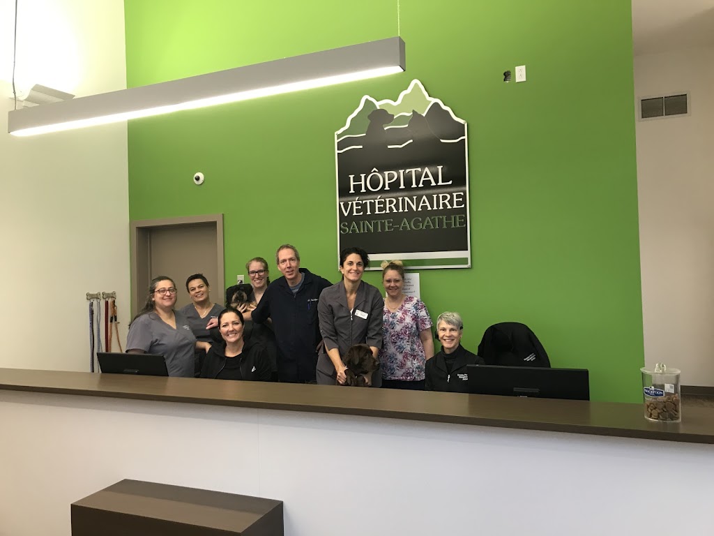 Hôpital Vétérinaire Ste-Agathe | 228 Rue Principale E, Sainte-Agathe-des-Monts, QC J8C 1K6, Canada | Phone: (819) 326-6062