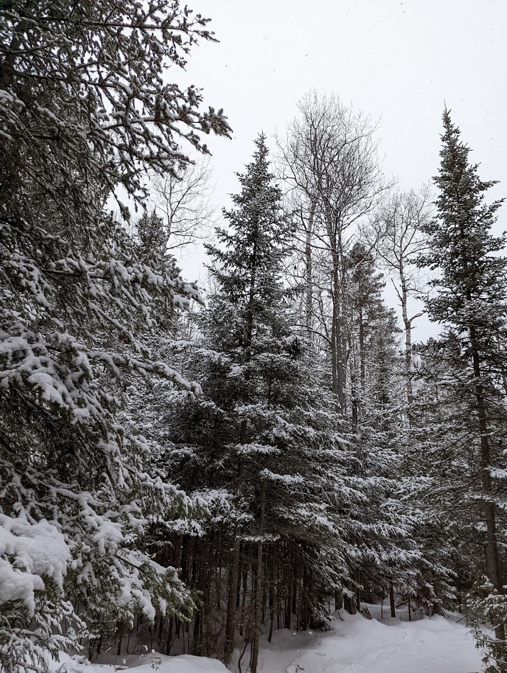 Refuge LÉbranché | 313 Rang du N, Saint-Bruno-de-Kamouraska, QC G0L 2M0, Canada | Phone: (418) 860-6419