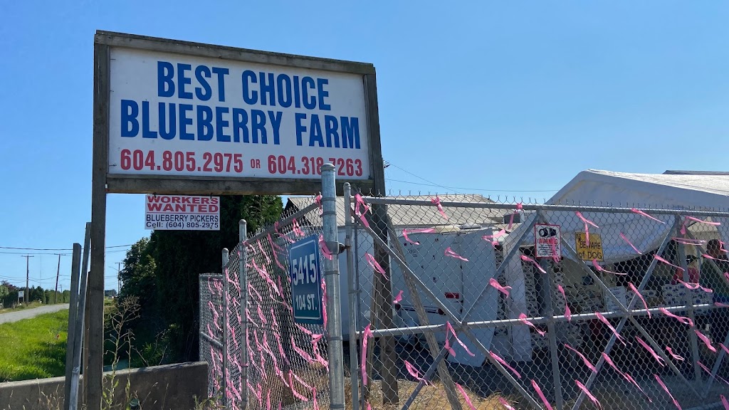 Best Choice Blue Berry Farm | point of interest | 5415 104 St, Delta, BC V4K 3N3, Canada | 6048052975 OR +1 604-805-2975