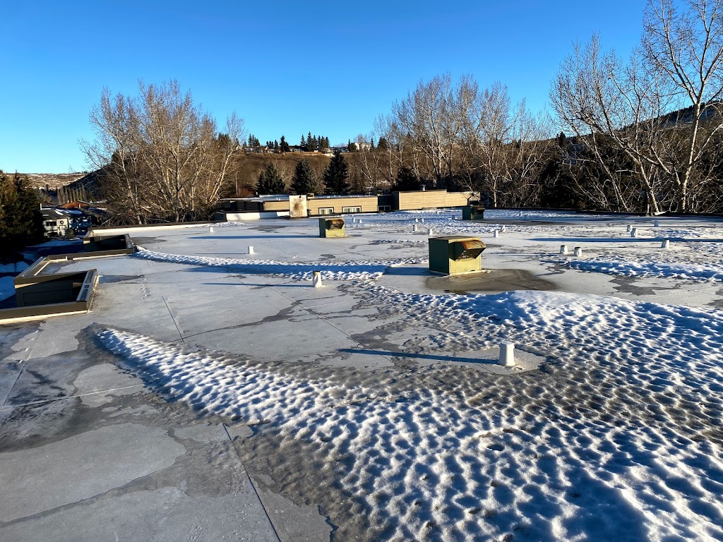 SJCleaningServices | 1765 Harrison St, Crossfield, AB T0M 0S0, Canada | Phone: (403) 921-4928