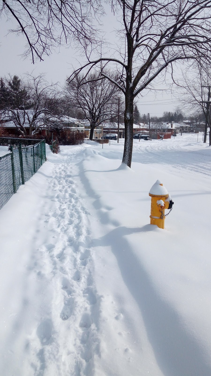 Churchill Heights Park | 60 Mountland Dr, Scarborough, ON M1G 2P1, Canada | Phone: (416) 338-4386