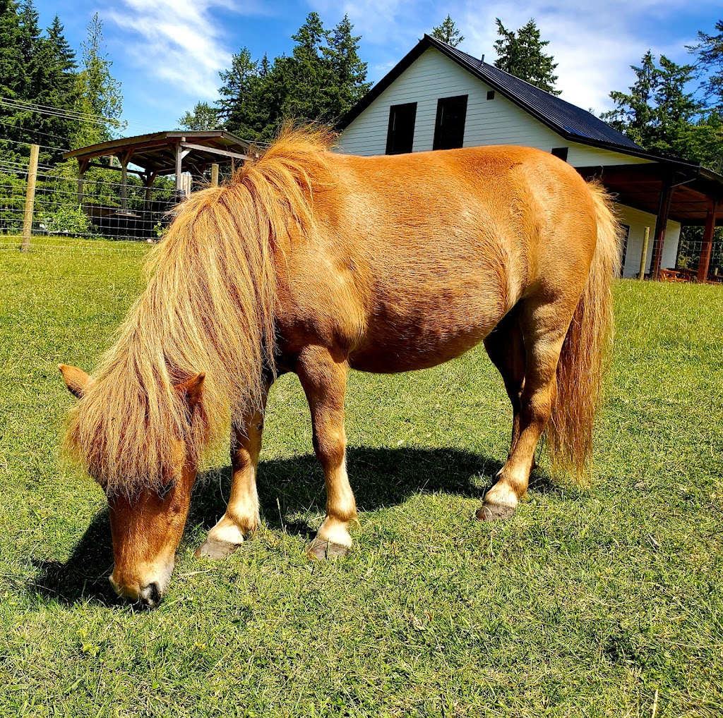 Yellow Point Farms | 4756 Yellow Point Rd, Ladysmith, BC V9G 1H2, Canada | Phone: (250) 268-1030