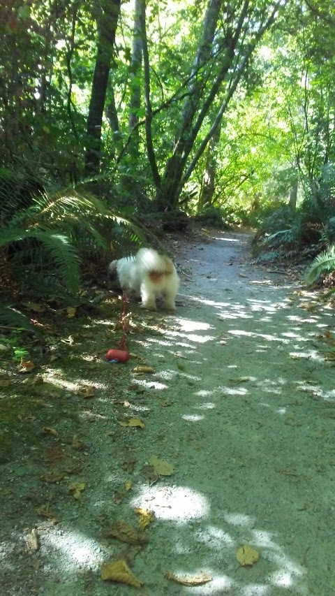Joe Brown Park | 5381-5483 125a St, Surrey, BC V3X 1W6, Canada | Phone: (604) 501-5050
