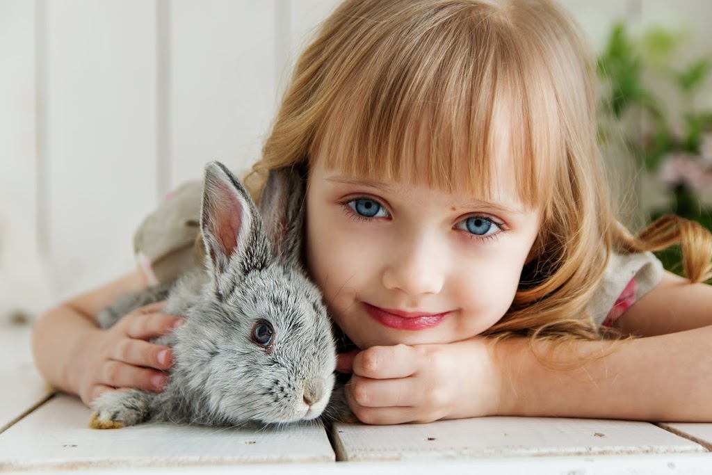 Aquitaine Animal Hospital Mississauga 6550 Meadowvale Town Centre Cir Mississauga On L5n 4b7 Canada
