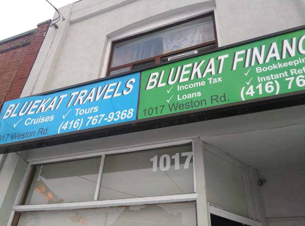 Bluekat Financial Services | 1017 Weston Rd, York, ON M6N 3R9, Canada | Phone: (416) 767-9368