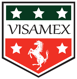 Visamex Real Estate Ltd | 170 Jade Crescent, Woodbridge, ON L4L 6M4, Canada | Phone: (905) 856-3500