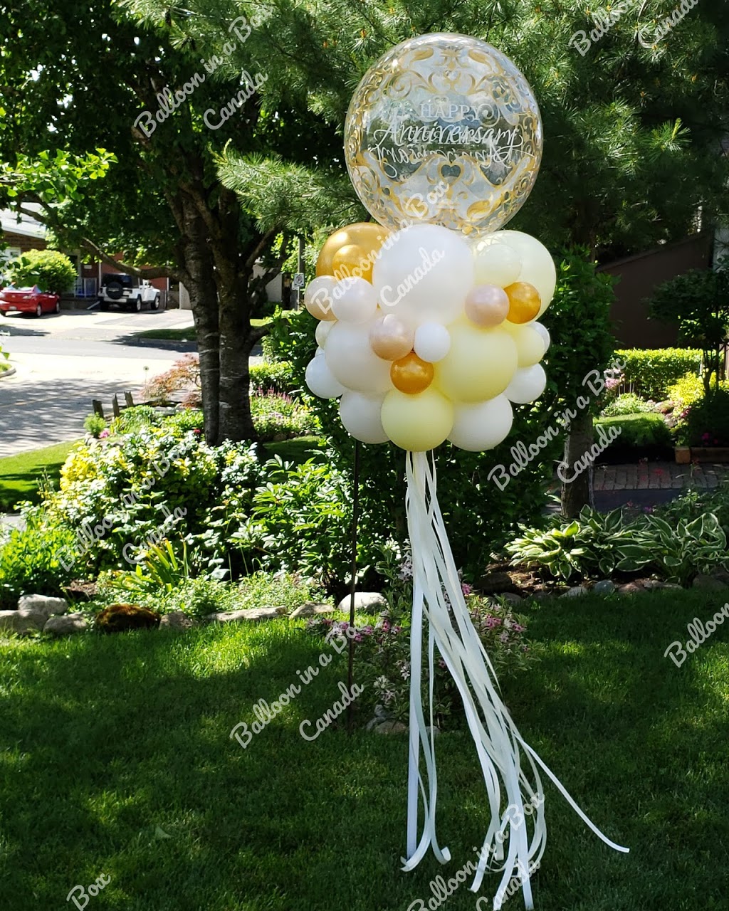 Balloon in a Box Canada | Owen St, Ingersoll, ON N5C 4G7, Canada | Phone: (519) 476-5135