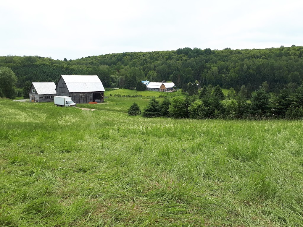 Centre de vie | 14 Chemin du Petit 5 Rang, Ripon, QC J0V 1V0, Canada | Phone: (819) 428-2215