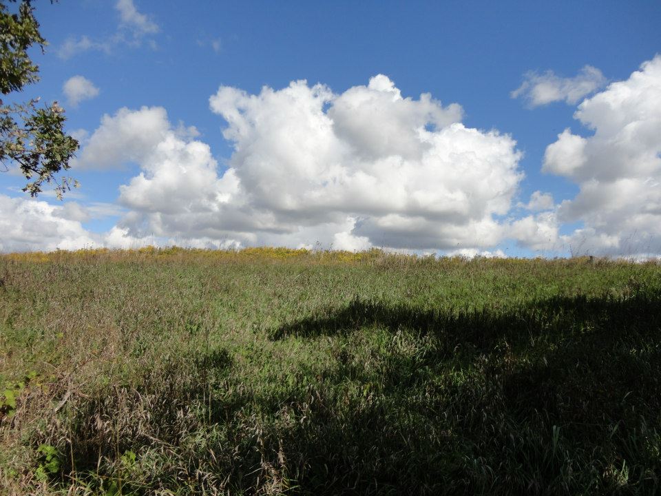 Back to Nature Network | 680 Plains Rd W, Burlington, ON L7T 4H4, Canada | Phone: (905) 527-1158