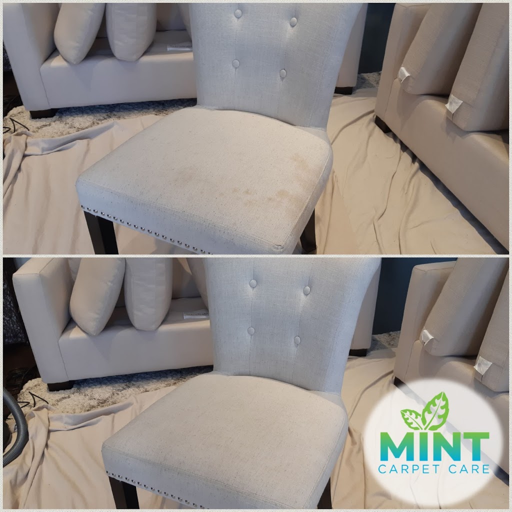 Mint Carpet Care | 317 Park Lawn Rd #28, Etobicoke, ON M8Y 3K2, Canada | Phone: (416) 828-3804