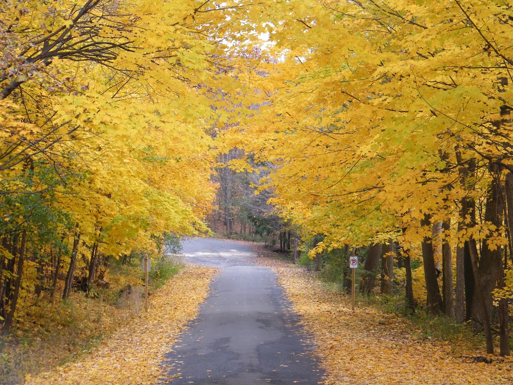 Senneville Town Hall | 35 Ch Senneville, Senneville, QC H9X 1B8, Canada | Phone: (514) 457-6020