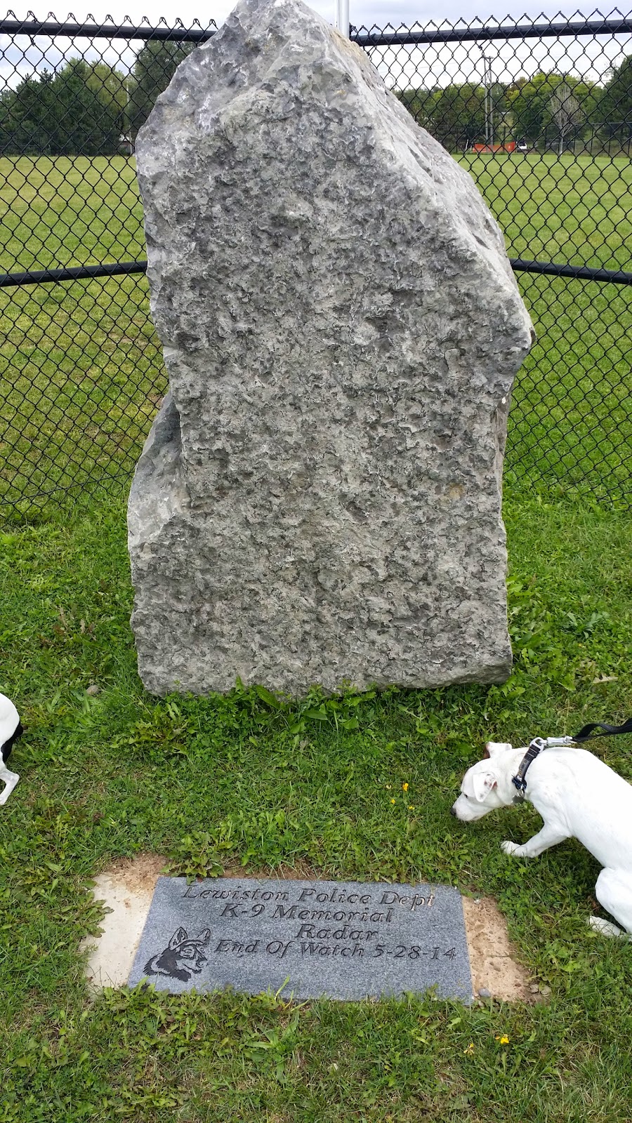 Lewiston Dog Park | Lewiston, NY 14092, USA | Phone: (716) 754-7766