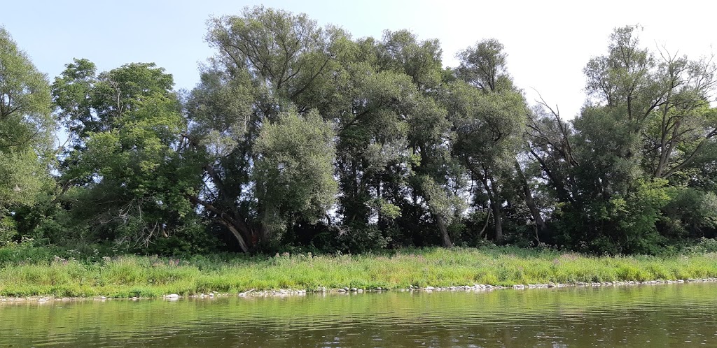 Grand River Rafting Company | 119 Jennings Rd, Brantford, ON N3T 5L7, Canada | Phone: (519) 442-2519