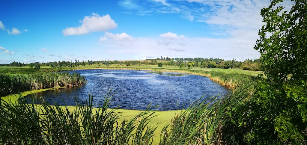 Meadowview Golf & Country Club | 26329 Meadowview Dr, Alberta T8T 0L7, Canada | Phone: (780) 459-8735
