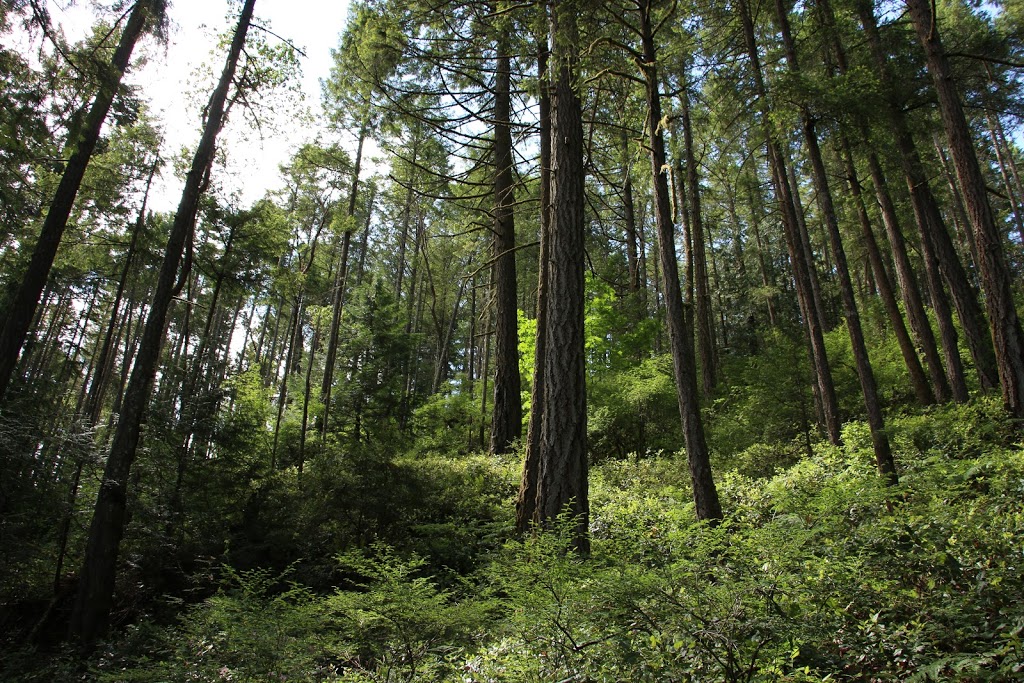 Goldstream campground | Langford, BC V0R, Canada | Phone: (250) 474-1336