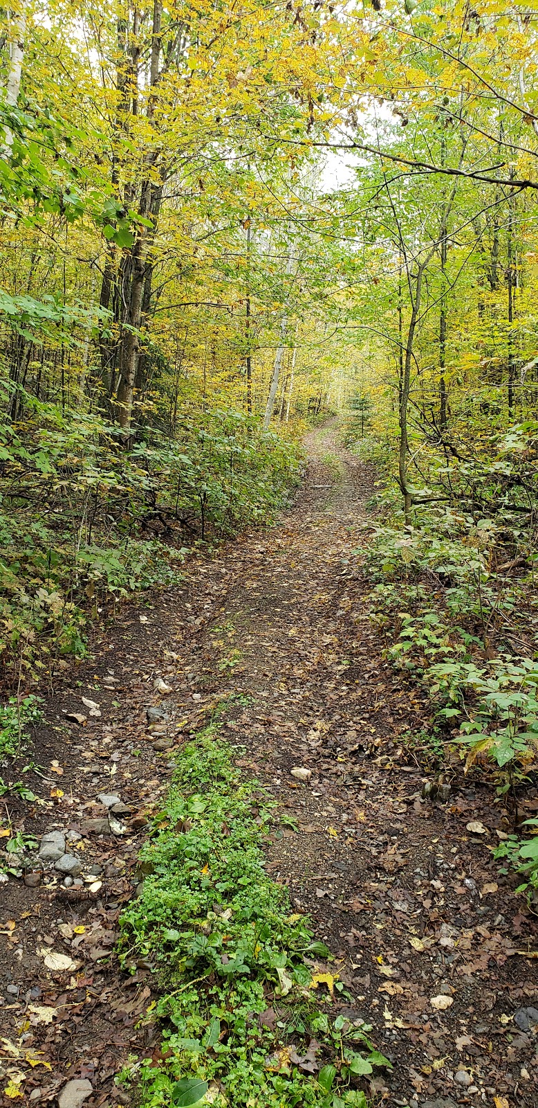 Wilderness Rhythms | 502 Hills of Peace Rd, Lanark, ON K0G 1K0, Canada | Phone: (613) 259-0249