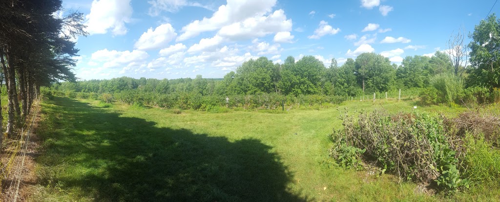 Lunenburg County Winery | 813 Walburne Rd, Mahone Bay, NS B0J 2E0, Canada | Phone: (902) 644-2415