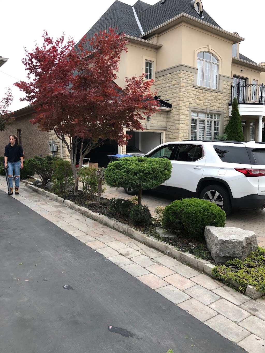 James Tree Co | 2887 Oslo Crescent, Mississauga, ON L5N 1Z8, Canada | Phone: (647) 269-4230