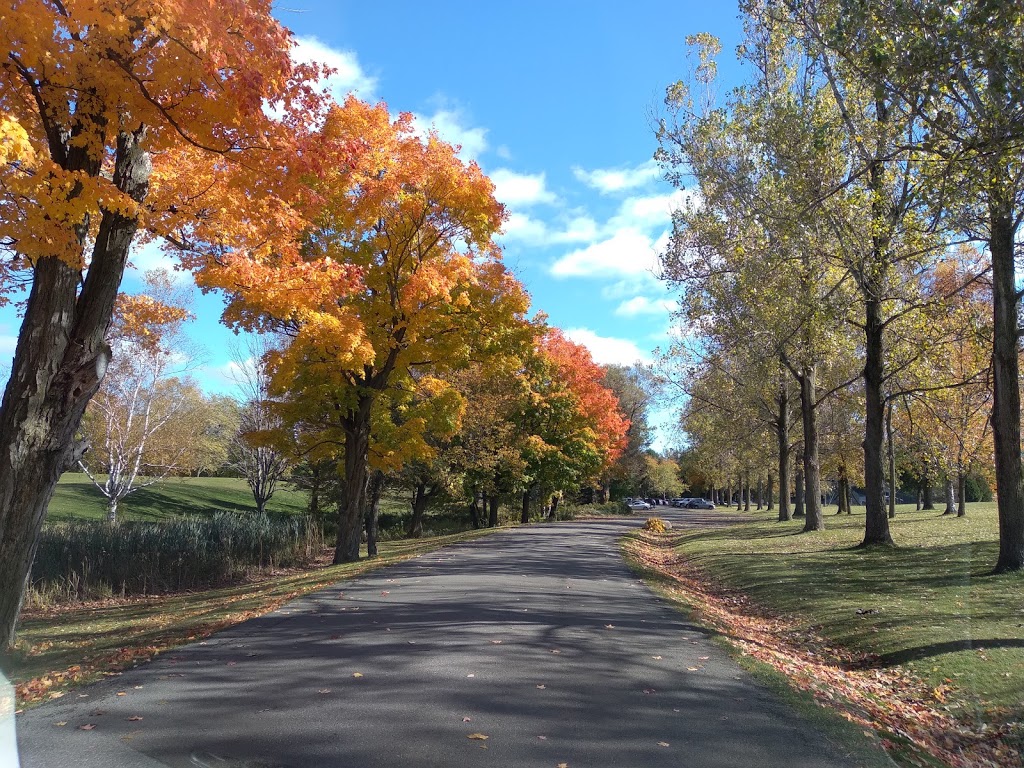 Newcastle Golf and Country Club | 2429 Golf Course Rd, Newcastle, ON L1B 1L9, Canada | Phone: (905) 987-4851