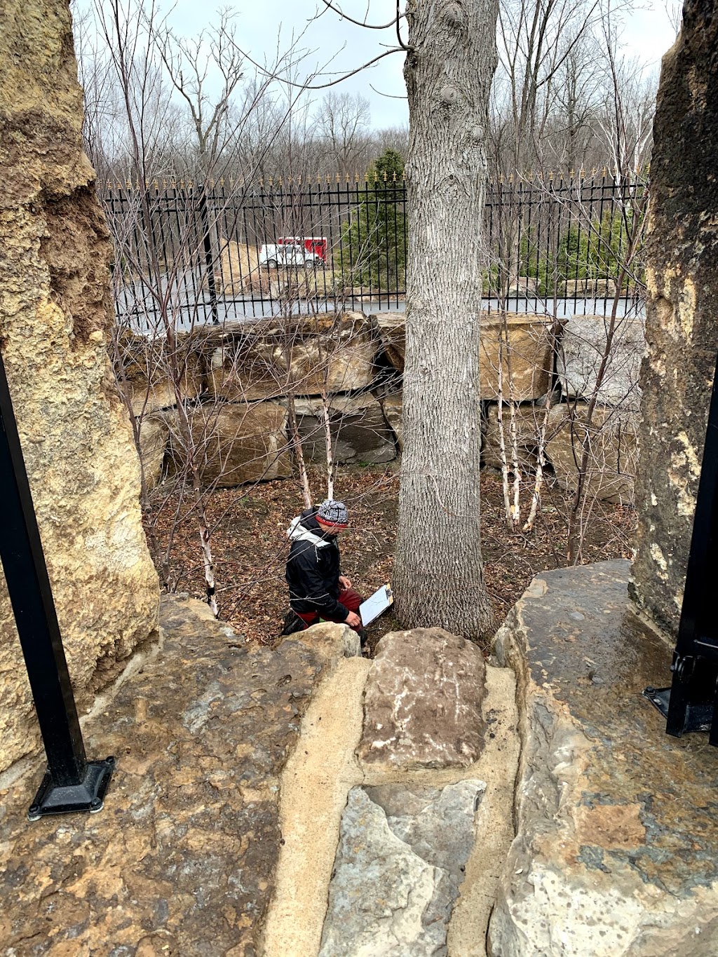 Arborist Tree Service | 1709 Beachburg Rd, Beachburg, ON K0J 1C0, Canada | Phone: (613) 639-4804