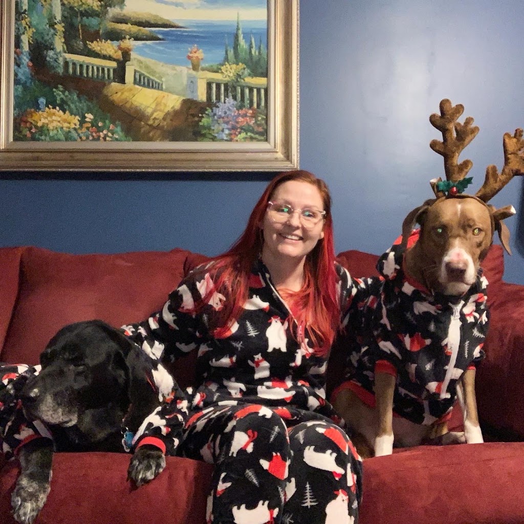 Round Trip Dog Walking & Pet Sitting | 293 Buckingham Dr, Stillwater Lake, NS B3Z 1G8, Canada | Phone: (902) 499-3595
