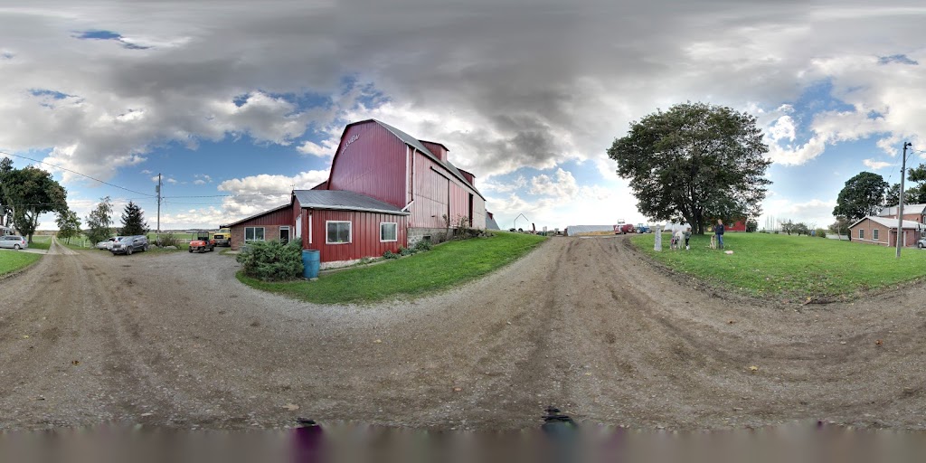 VG Farms, Haldimand | 378 Concession 7 Rd, Cayuga, ON N0A 1E0, Canada | Phone: (519) 426-2000