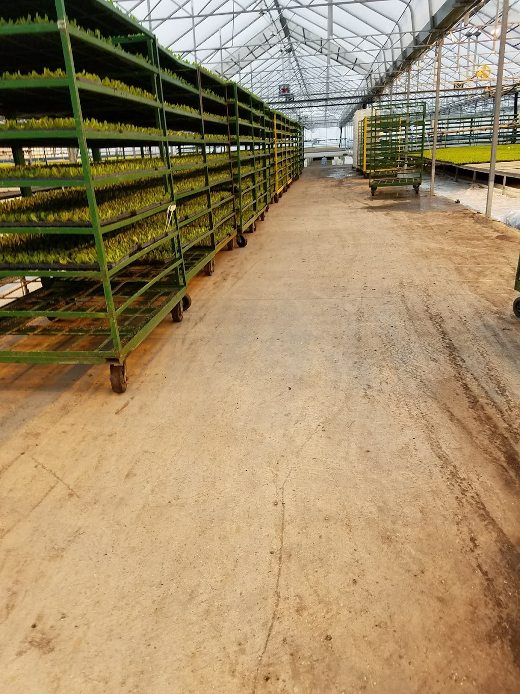 Serres Lefort | 644 Rang 3, Sainte-Clotilde-de-Châteauguay, QC J0L 1W0, Canada | Phone: (450) 826-3117