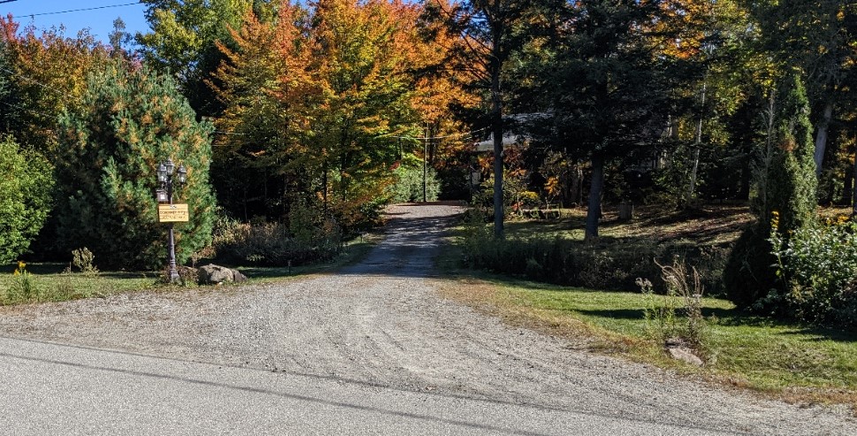 Dorothée Scott, acupunctrice | 18 Chem. des Prés, Saint-Hippolyte, QC J8A 0A2, Canada | Phone: (514) 912-8752