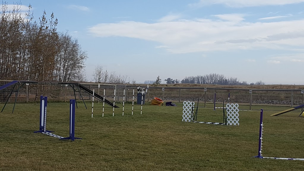 Wet Noses | 223042 AB-24, Carseland, AB T0J 0M0, Canada | Phone: (403) 901-2120