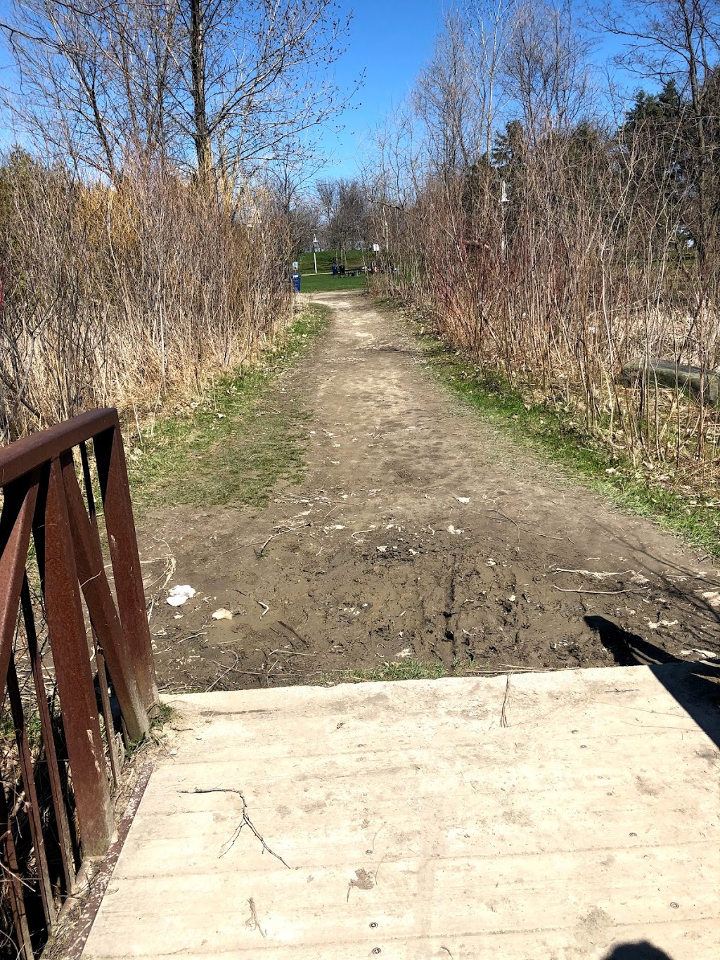 Scarborough Bluffs | Bluffers Park, Scarborough, ON, Canada