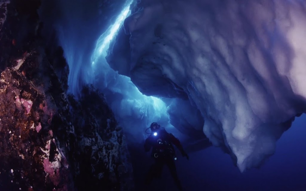 Arctic Bear Productions | Victoria, BC V8S 2J8, Canada | Phone: (250) 508-8322