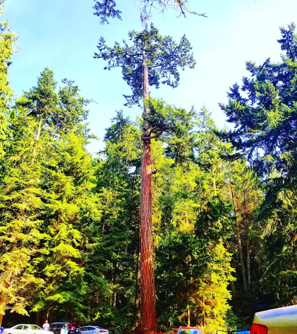 AdventureTerra LLC | 41020 WA-20, Oak Harbor, WA 98277, USA | Phone: (206) 914-8613