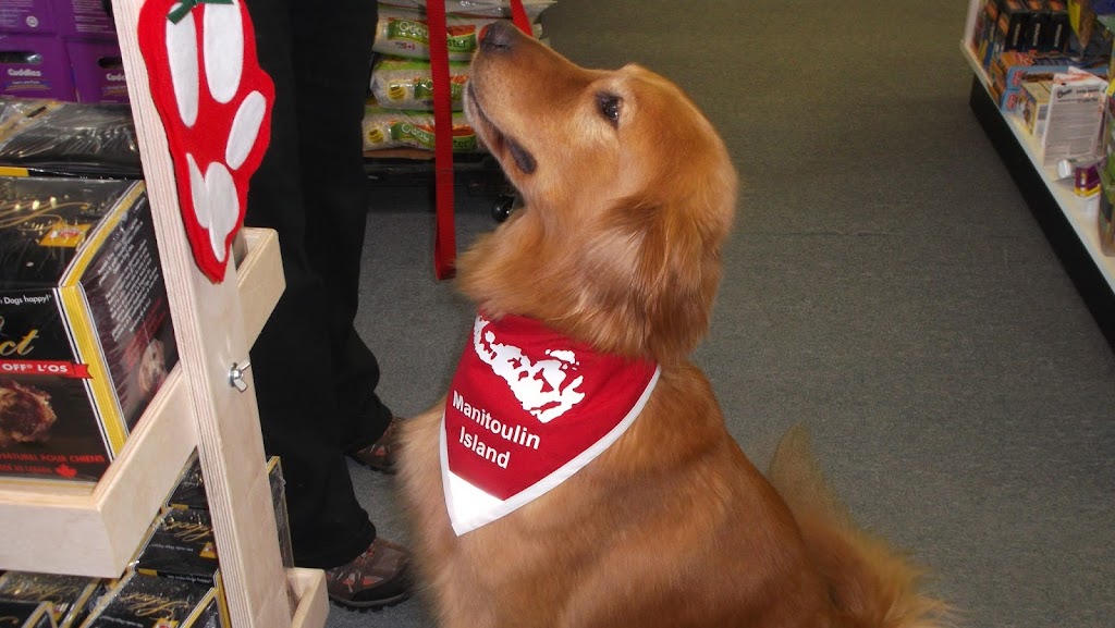 Kats Pet Supplies | 2222 ON-551, Mindemoya, ON P0P 1S0, Canada | Phone: (705) 377-4744