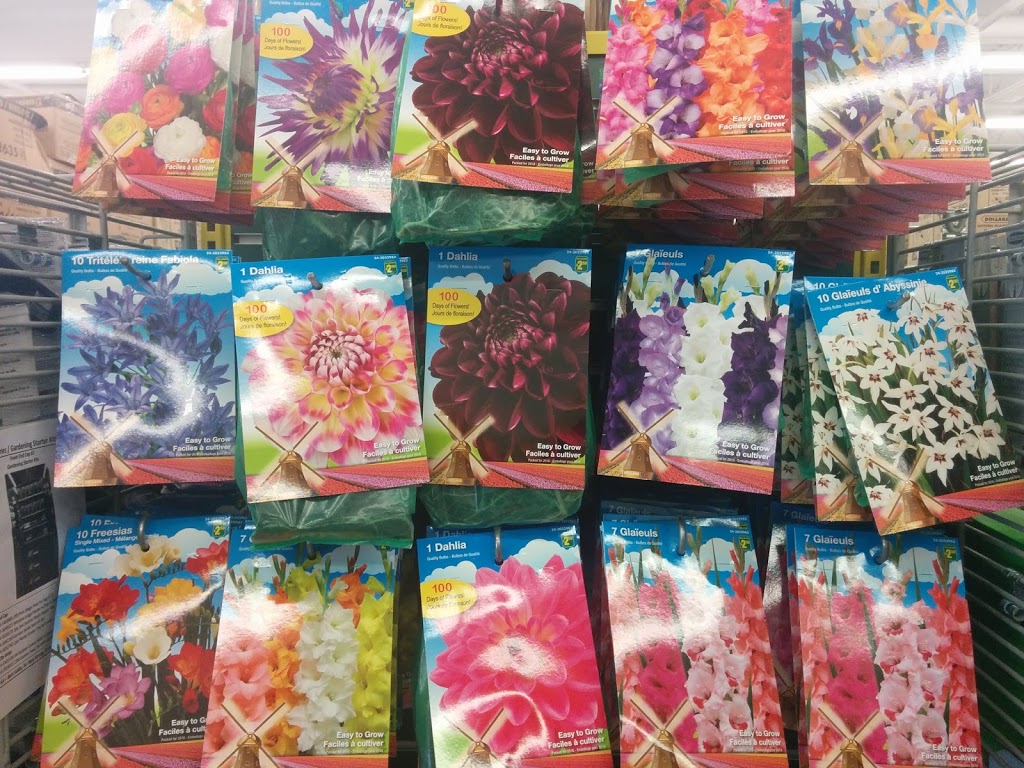 Dollarama | Willowcreek Boulevard, 400 Lansdowne St E, Peterborough, ON K9L 0B2, Canada | Phone: (705) 741-3356