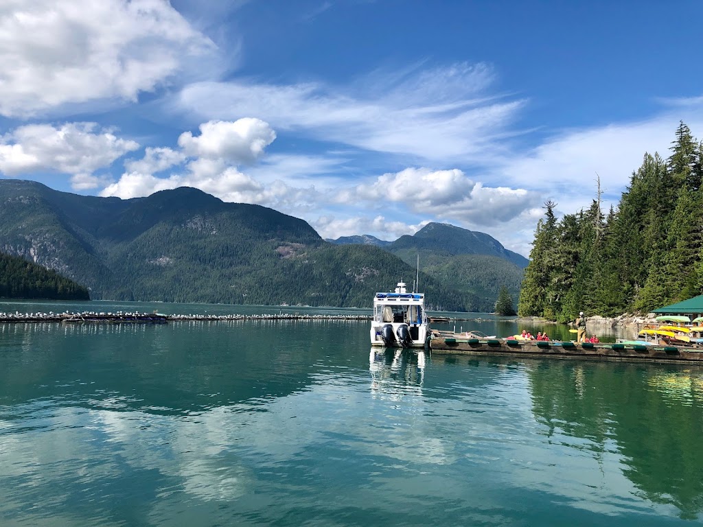Knight Inlet Grizzly Bear viewing | The Coastal Waters of Southeast Alaska and, Mount Waddington A, BC, Canada | Phone: (250) 337-1953