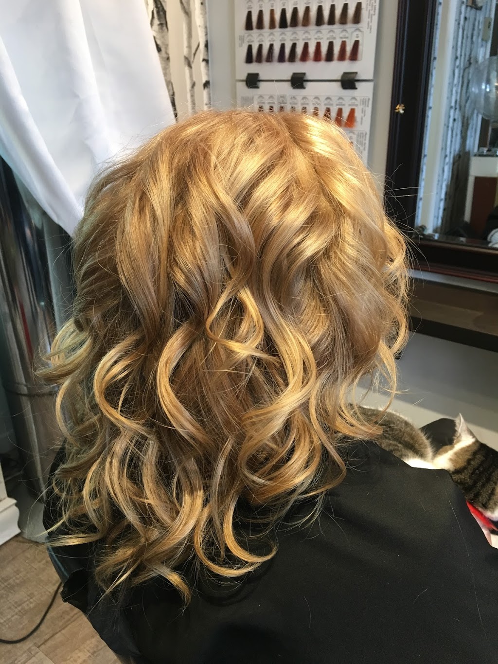 Coiffure La Mèche Courte | 425 Chemin du Grand-Brompton, Racine, QC J0E 1Y0, Canada | Phone: (450) 532-3986