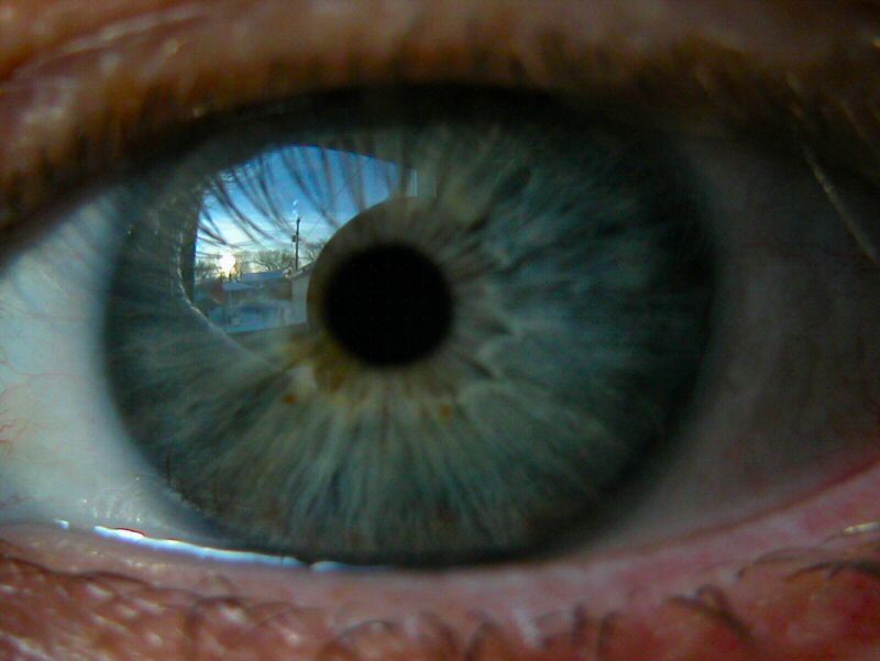 Glass Eye View | 870 Atlantic Ave, Winnipeg, MB R2X 1L4, Canada | Phone: (204) 396-6375