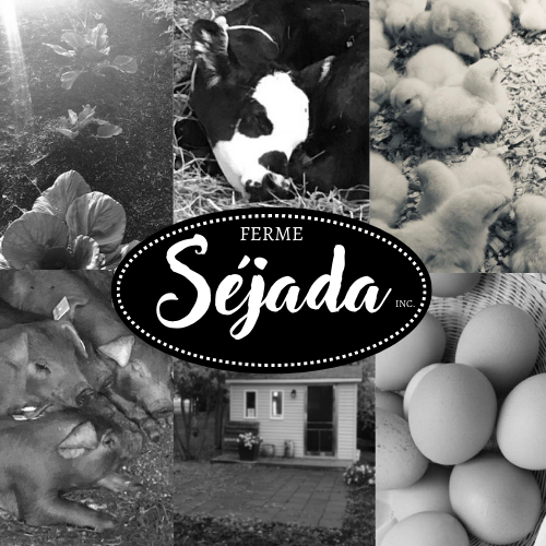 Ferme Séjada Inc. | 1301 Rang St Alexandre, Saint-Zéphirin-de-Courval, QC J0G 1V0, Canada | Phone: (450) 564-1013