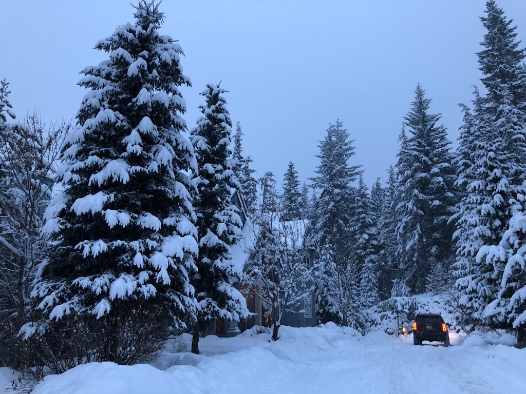 TREELINE by Holiday Whistler | 4661 Blackcomb Way, Whistler, BC V0N 1B4, Canada | Phone: (604) 932-2038