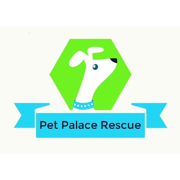 Pet Palace | 6751 Silver St, Saint Anns, ON L0R 1Y0, Canada | Phone: (905) 386-6359
